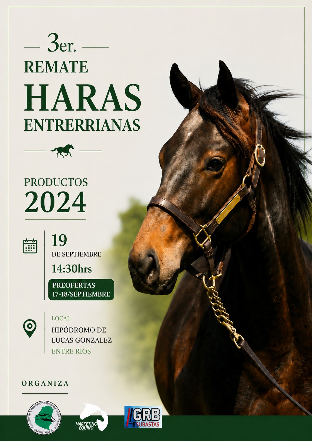 Marqueting Equino